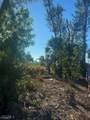 3666 Stabile Road - Photo 5
