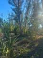 3666 Stabile Road - Photo 6