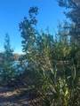 3666 Stabile Road - Photo 7