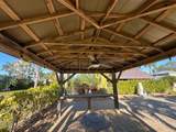 10232 Meadow Beauty Trail - Photo 12