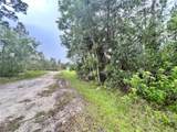 12353 Ripple Drive - Photo 3