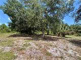 4405 2nd Street - Photo 10