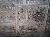 4213 34th Street - Photo 1