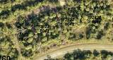 1128226043 Crimsonglory Road - Photo 1