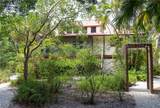 1345 Junonia Street - Photo 2
