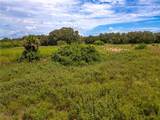 1667 Palomino Drive - Photo 38