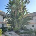 828 Victoria Drive - Photo 2