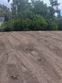 65 Cardinal Drive - Photo 4