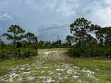12528 Canoe Trail - Photo 5