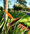 16000 Bay Pointe Boulevard - Photo 36