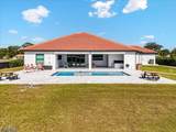 14582 Old Olga Road - Photo 10