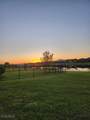 16006 Mistflower Drive - Photo 2