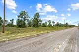 1226 Edelweiss Street - Photo 10