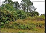 Alpina Alpinia Road - Photo 4