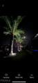 1709 44th Terrace - Photo 32