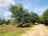 17341 Balfour Terrace - Photo 4