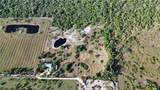 4501 Royal Palm Ranch Drive - Photo 4