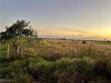 6455 3rd Road - Photo 4