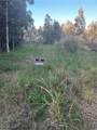 33608 Oil Well Road - Photo 3