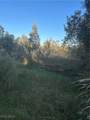 33608 Oil Well Road - Photo 6