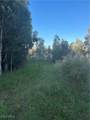 33608 Oil Well Road - Photo 7