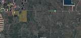  Sabal Palm Road - Photo 6