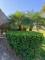 5200 Marsh Mallow Trail - Photo 19