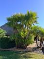 5200 Marsh Mallow Trail - Photo 22