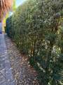 5200 Marsh Mallow Trail - Photo 23