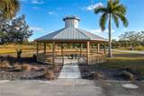 22912 Dayflower Lane - Photo 49