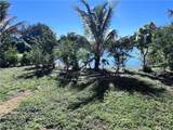 1187 Bush Street - Photo 16