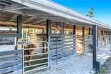 13731 Terry Street - Photo 42