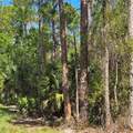 47th Avenue - Photo 2