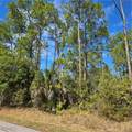  47th Avenue - Photo 3
