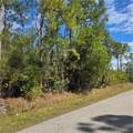  47th Avenue - Photo 4