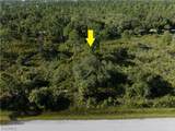 13211 Chiminiello Drive - Photo 3