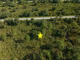 13211 Chiminiello Drive - Photo 5