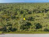 13211 Chiminiello Drive - Photo 8