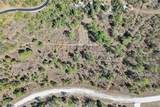 13588 Carousel Drive - Photo 3