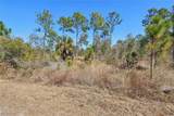 13588 Carousel Drive - Photo 5