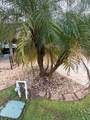 10329 Fire Flag Trail - Photo 11