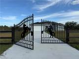 665 Olivo Street - Photo 3