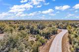 7124 Obrien Lane - Photo 4
