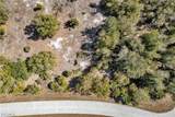 7124 Obrien Lane - Photo 8