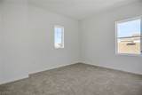 13443 Turnleaf Boulevard - Photo 16