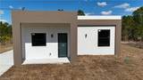 1135 Randletree Street - Photo 1