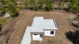 1135 Randletree Street - Photo 4