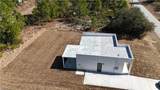 1135 Randletree Street - Photo 8