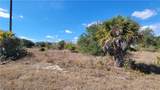 6001 Sunshine Boulevard - Photo 5