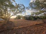 518 Jacaranda Parkway - Photo 13